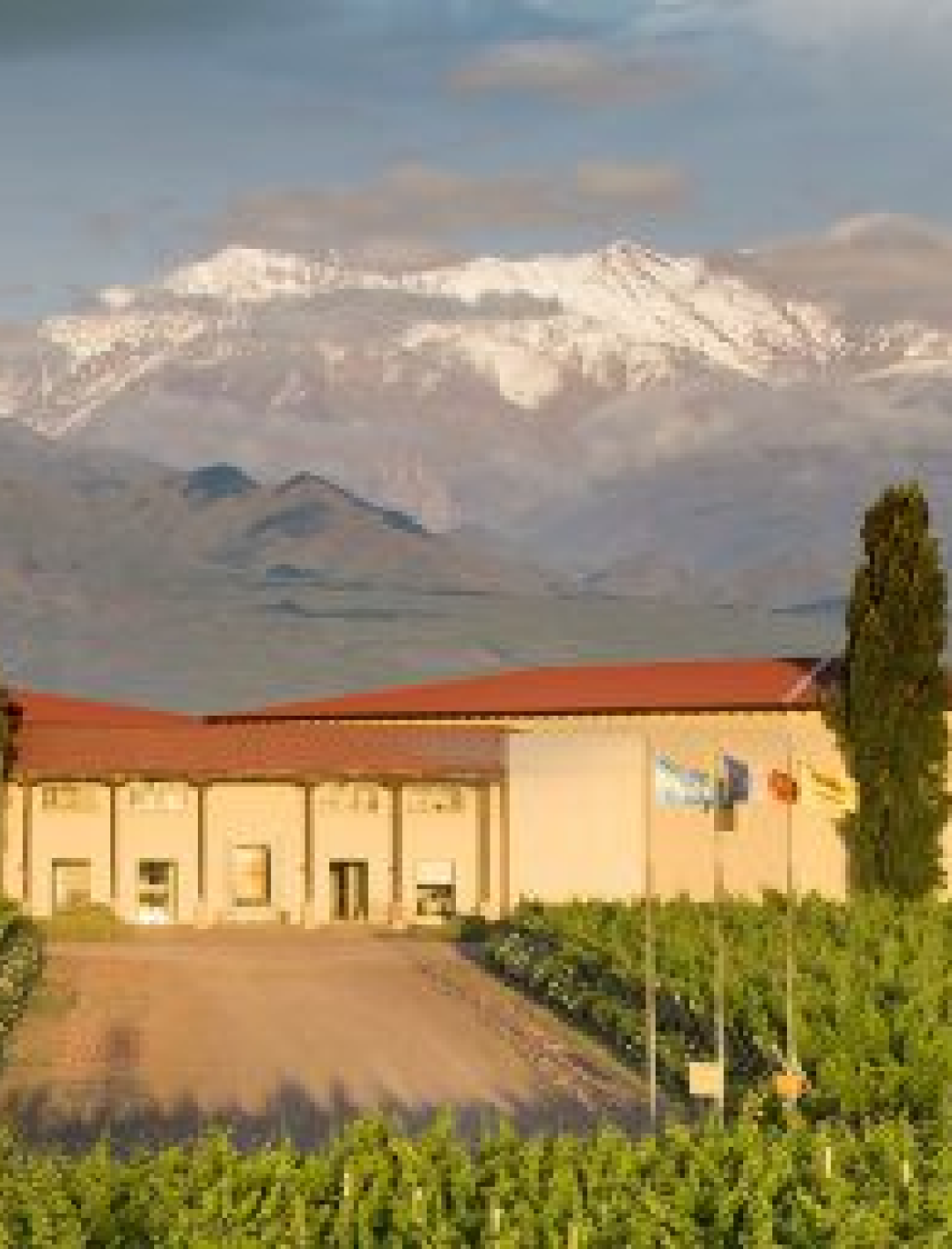 Les Gammes - Léoville Poyferré